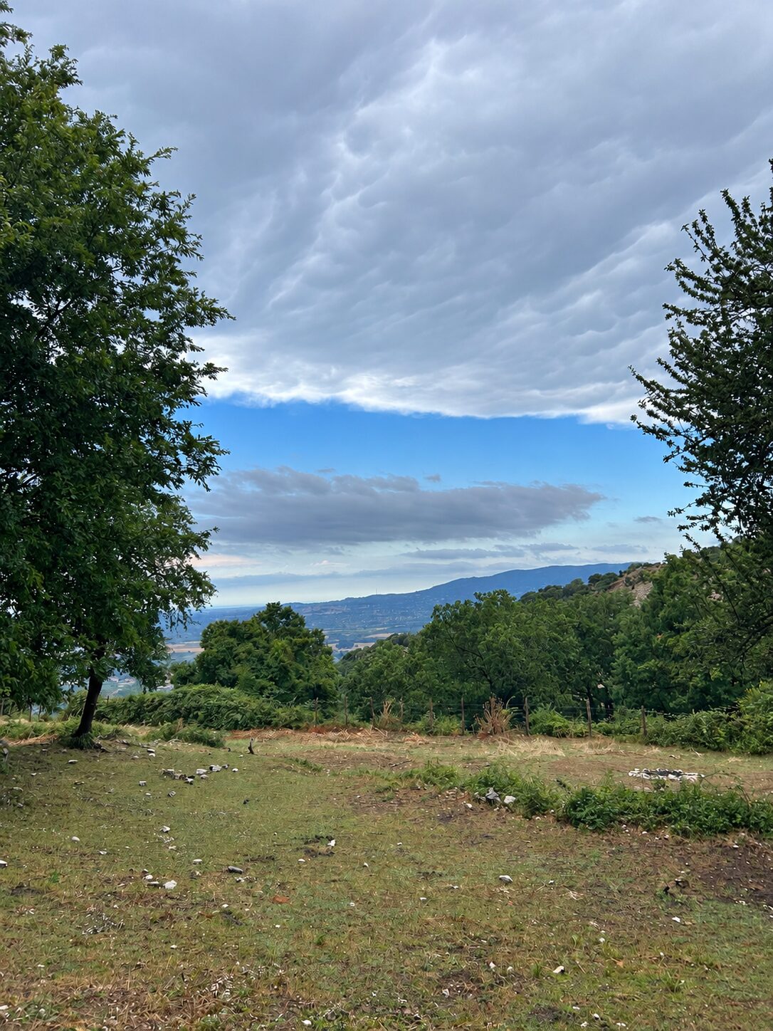 Terreno campo scout La Valletta, Rocca Massima, foto 4