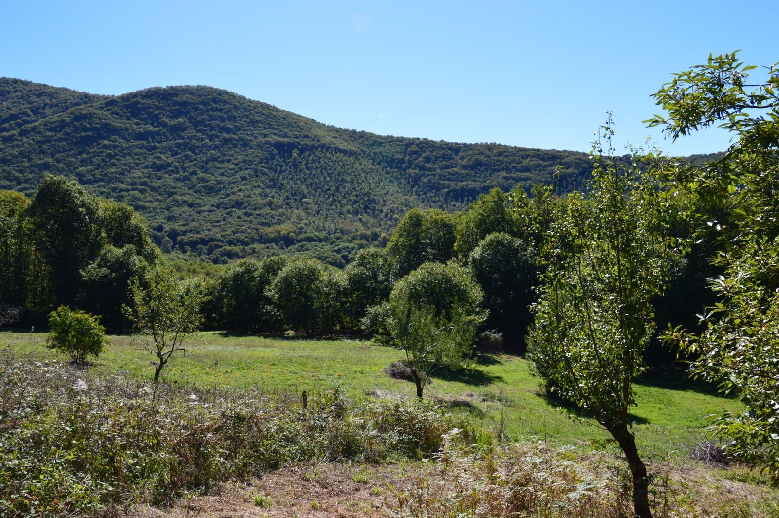 Terreno campo scout La Cerqueta, Rocca Massima, foto 2