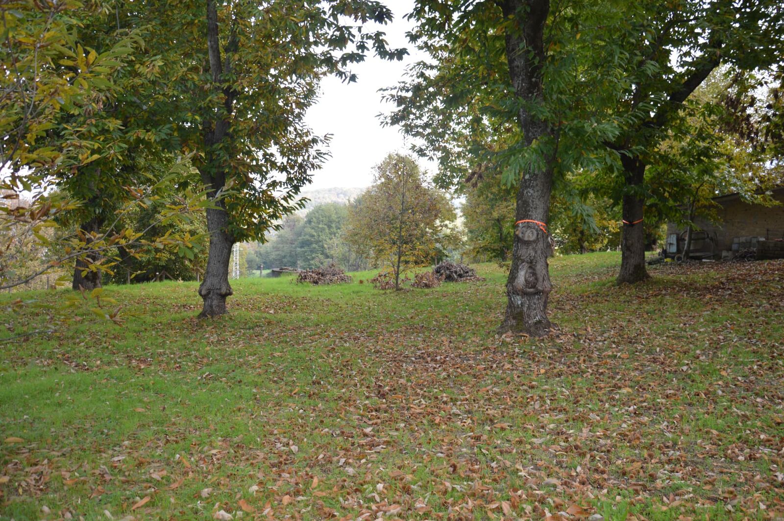 Terreno campo scout La Casetta, Rocca Massima, foto 1