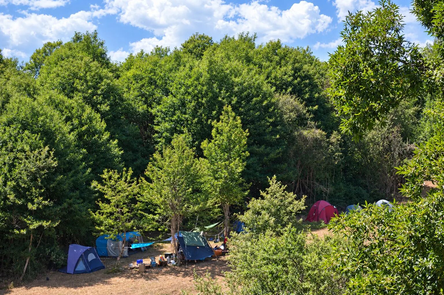 Terreno campo scout La Prateria, Rocca Massima, foto 3