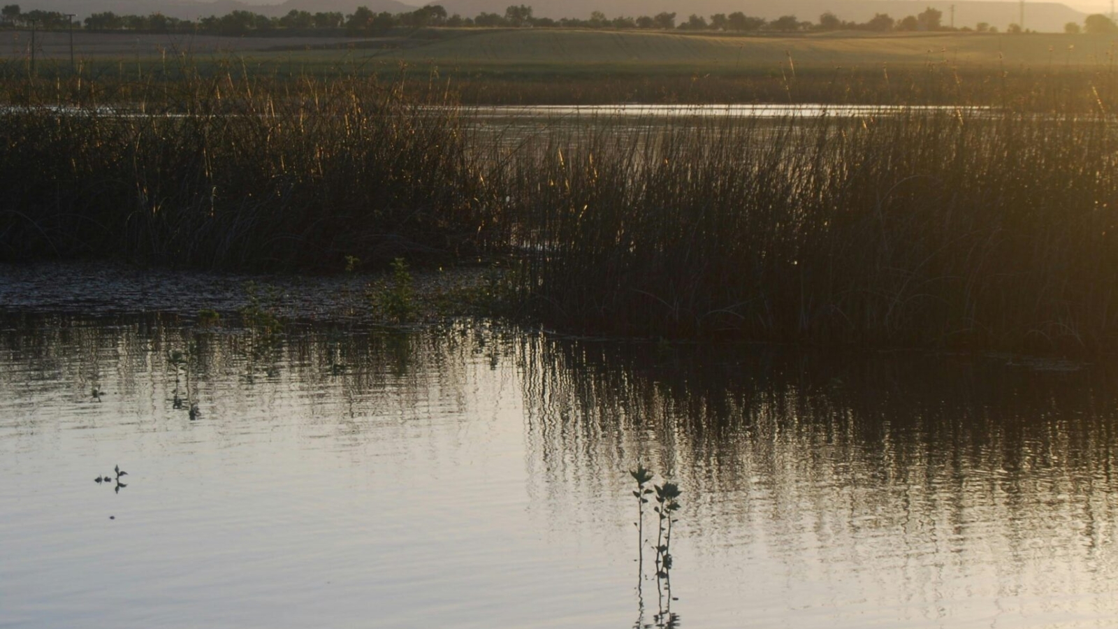 lago di giulianello, meta giornaliera durante i campi estivi
